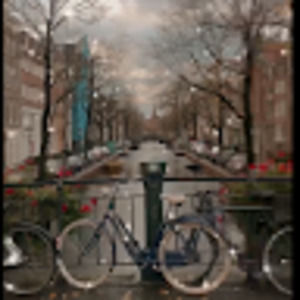 Meet your Posher, Cindy